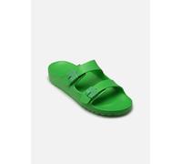 Scholl - BAHIA COMFORT Verde - Zoccoli 38 Verde