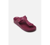 Scholl - BAHIA FLIP-FLOP COMFORT Viola - Zoccoli 38 Viola