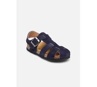 Scholl - BAT COLLECTION Blu - Sandali e scarpe aperte 24 Blu