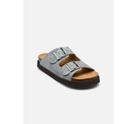 Scholl - BEATRIZ COLLECTION Blu - Zoccoli 37 Blu