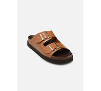 Scholl - BEATRIZ COLLECTION Marrone - Zoccoli 37 Marrone