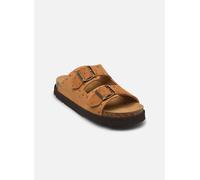 Scholl - BEATRIZ COLLECTION Marrone - Zoccoli 41 Marrone