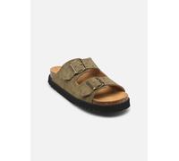 Scholl - BEATRIZ COLLECTION Verde - Zoccoli 35 Verde
