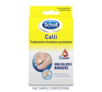 SCHOLLS CER CALLIF TRATT R/PROT