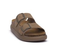 SCHOLL DKBE NOELLE ciabatte Donna 38