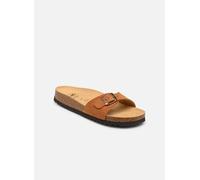 Scholl - ESTELLE COLLECTION Marrone - Zoccoli 41 Marrone
