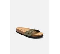 Scholl - ESTELLE COLLECTION Verde - Zoccoli 40 Verde