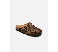 Scholl - FAE COLLECTION Marrone - Sandali e scarpe aperte 36 Marrone