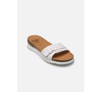 Scholl - GINNI COMFORT Bianco - Zoccoli 41 Bianco