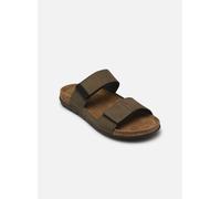 Scholl - Gregor Comfort Verde - Sandali e scarpe aperte 43 Verde