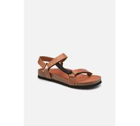 Scholl - Heaven Ad Comfort M Marrone - Sandali e scarpe aperte 46 Marrone