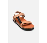 Scholl - Heaven Ad Comfort W Marrone - Sandali e scarpe aperte 37 Marrone