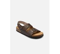 Scholl - HENRI COLLECTION Marrone - Sandali e scarpe aperte 41 Marrone