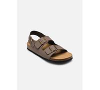 Scholl - HENRI COLLECTION Marrone - Sandali e scarpe aperte 42 Marrone