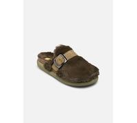 Scholl - IVY BIG BUCKLE COLLECTION Verde - Zoccoli 38 Verde