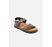 Scholl - JEAN COLLECTION Marrone - Sandali e scarpe aperte 26 Marrone