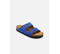 Scholl - JOSEPHINE COLLECTION Blu - Sandali e scarpe aperte 37 Blu