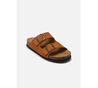 Scholl - JOSEPHINE COLLECTION Marrone - Sandali e scarpe aperte 41 Marrone