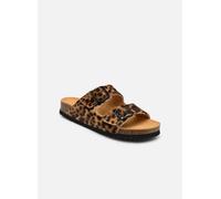 Scholl - JOSEPHINE COLLECTION Marrone - Sandali e scarpe aperte 41 Marrone