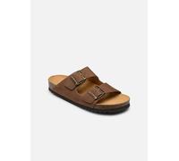 Scholl - JOSEPHINE COLLECTION Marrone - Sandali e scarpe aperte 41 Marrone