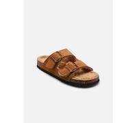Scholl - JOSEPHINE COLLECTION Marrone - Zoccoli 37 Marrone