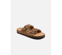 Scholl - JULIEN COLLECTION Marrone - Pantofole 42 Marrone