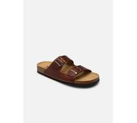 Ciabatte Scholl Julien F30076 Marrone 40