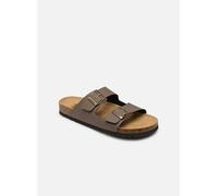 Scholl - JULIEN COLLECTION Marrone - Sandali e scarpe aperte 41 Marrone