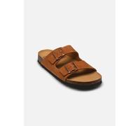 Scholl - JULIEN COLLECTION Marrone - Sandali e scarpe aperte 41 Marrone