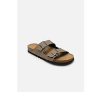 Scholl - JULIEN COLLECTION Marrone - Sandali e scarpe aperte 42 Marrone