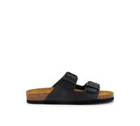 Scholl Julien New