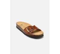 Scholl - KATHLEEN COLLECTION Marrone - Zoccoli 36 Marrone