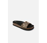 Scholl - KATHLEEN COLLECTION Marrone - Zoccoli 42 Marrone
