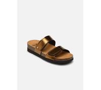 Scholl - LUSAKA 2.0 COMFORT Oro e bronzo - Zoccoli 37 Oro e bronzo