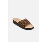 Scholl - MANGO COMFORT Marrone - Zoccoli 38 Marrone