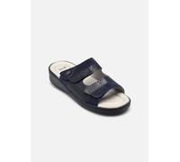 Scholl - MARINELLA COMFORT Blu - Zoccoli 36 Blu