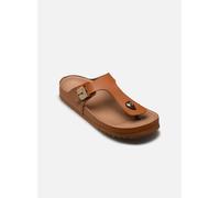 Scholl - MAYA ICONIC Marrone - Sandali e scarpe aperte 38 Marrone