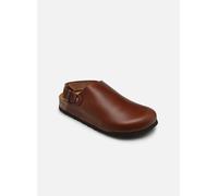 Scholl - MOLE BACK STRAP Marrone - Sandali e scarpe aperte 26 Marrone