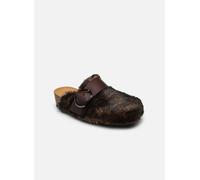 Scholl - MONIQUE COLLECTION Marrone - Zoccoli 38 Marrone