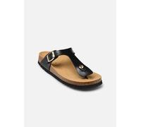 Scholl - NICOLE COLLECTION Nero - Zoccoli 36 Nero