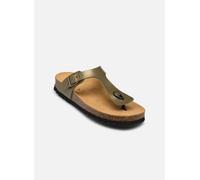 Scholl - NICOLE COLLECTION Verde - Zoccoli 35 Verde