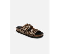 Scholl - NOELLE COLLECTION Marrone - Zoccoli 35 Marrone