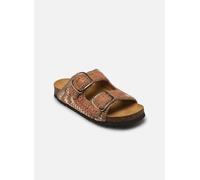 Scholl - NOELLE COLLECTION Multicolore - Zoccoli 37 Multicolore