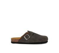 Scholl Olivier New