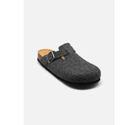 Scholl - OLIVIER NEW COLLECTION Grigio - Pantofole 46 Grigio