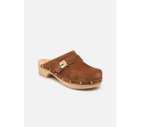 Scholl - PESCURA CLOG 50 ICONIC Marrone - Zoccoli 37 Marrone