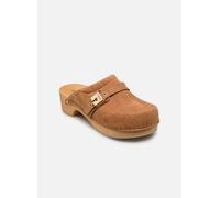 Scholl - PESCURA CLOG 50 ICONIC Marrone - Zoccoli 38 Marrone