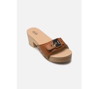Scholl - Pescura Ibiza 2.0 Iconic Marrone - Zoccoli 40 Marrone