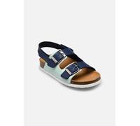 Scholl - TURTLE COLLECTION Blu - Sandali e scarpe aperte 24 Blu