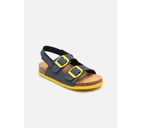 Scholl - TURTLE COLLECTION Blu - Sandali e scarpe aperte 24 Blu